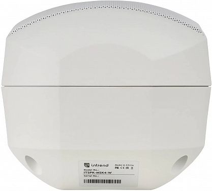 Настенная акустическая система INTREND ITSPK-MSK4-W