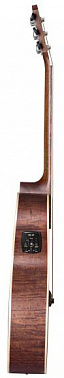 Электроакустика BATON ROUGE AR61C/ACE