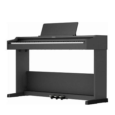 Цифровое пианино Roland RP107
