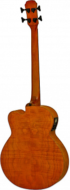 Электроакустический бас ARIA FEB-F2M STBR