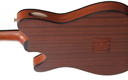 Электроакустика IBANEZ FRH10N-NTF