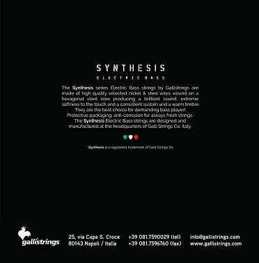 Струны GALLI STRINGS BSN40100