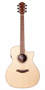 Электроакустика BATON ROUGE AR101S/ACE
