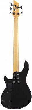 Бас-гитара SCHECTER C-5 PLUS STCB