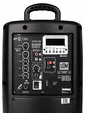 Акустическая система LEEM PR-8