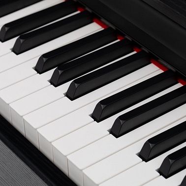 Цифровое пианино ROCKDALE Sonata Rosewood