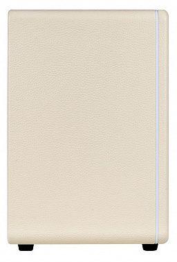 Комбоусилитель Mooer DH30i-Hornet-30i-WH