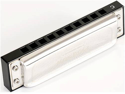 Диатоническая губная гармошка EASTTOP PR020 D