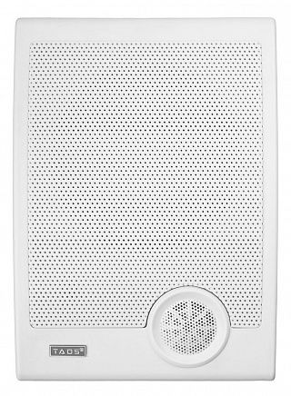 Громкоговоритель настенный TADS DS-636