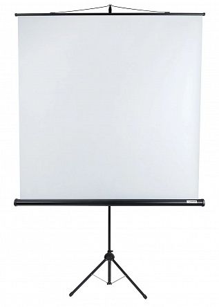 Экран Lumien Eco View LEV-100103