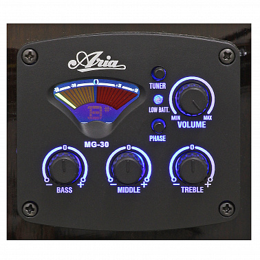 Электроакустика ARIA AWN-15CE BLS