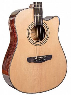 Акустическая гитара Omni D-890S