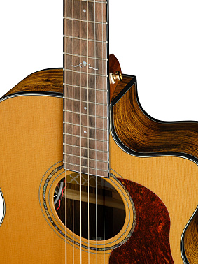 Электроакустика CORT Gold-OC6-Bocote-WCASE-NAT