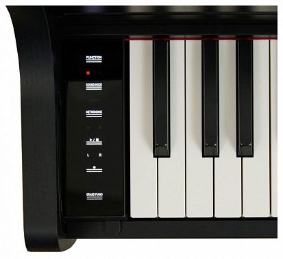Цифровое пианино CASIO AP-300 BK