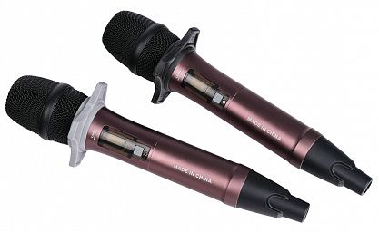 Беспроводная конференц-система LAudio 8000C-6D2H