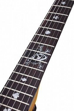 Электрогитара SCHECTER PETE DEE PT BLK