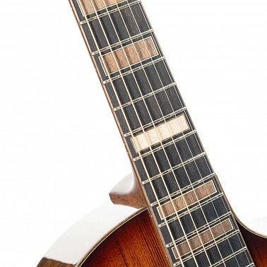 Электроакустика Cort Modern-Burst-WCASE-TSB
