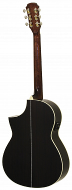 Электроакустика ARIA MSG-02CE BS