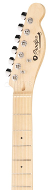 Электрогитара Prodipe JMFTC80ASH