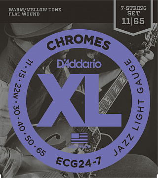 Струны D'ADDARIO ECG24-7