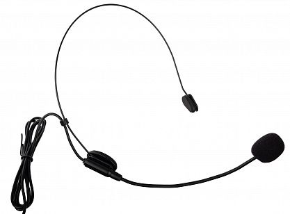 Микрофон LAudio C2