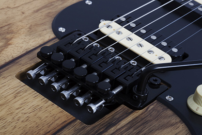 SCHECTER SUN VALLEY SUPER SHREDDER EXOTIC BLACK LIMBA