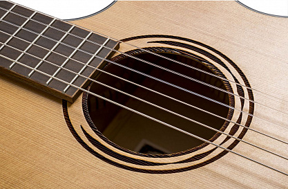 Электроакустика BATON ROUGE CR21C/ACE