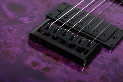 Электрогитара SCHECTER PT STANDARD PBB