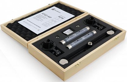Подобранная пара микрофонов AuraSonics AP22-MP
