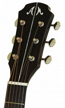 Электроакустика ARIA MSG-02CE N