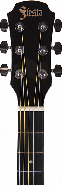 Акустическая гитара ARIA FIESTA FST-300 BS