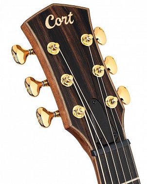 Электроакустика Cort Modern-Burst-WCASE-TSB