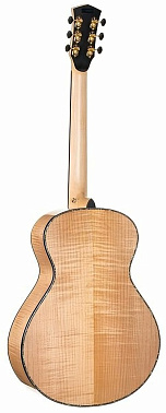 Гитара Cort Gold Passion WCASE NAT