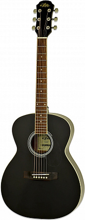 Акустическая гитара ARIA AFN-15-58 BK