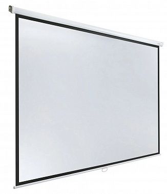 Экран Lumien Eco Picture LEP-100111