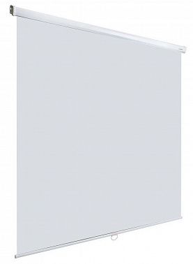 Экран Lumien Eco Picture LEP-100103