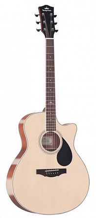 Трансакустика Kepma A1CE-K10PRO-NM