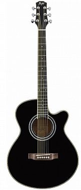 Гитарный набор FLIGHT F-230 BLK PACK