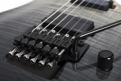 Электрогитара SCHECTER C-1 FR-S SLS ELITE BFB