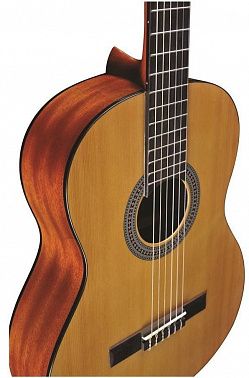 Классическая гитара EKO Vibra 100