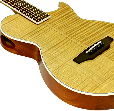 Электроакустика ARIA APE-100 N