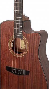 Электроакустика Omni D-550E