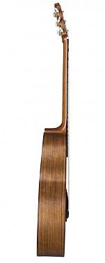 Акустическая гитара BATON ROUGE AR31S/JC-AM