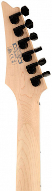 Электрогитара IBANEZ RG421EX-BKF