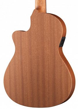 Электроакустика Alhambra 8.010 Z-Nature CT EZ