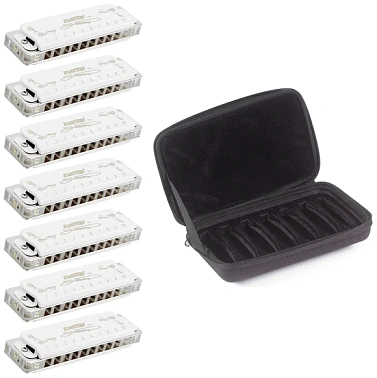 Диатоническая губная гармошка EASTTOP T008L A