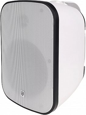 Настенная акустическая система INTREND ITSPK-650WWT-W