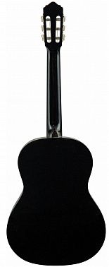 Гитарный набор FLIGHT C-120 BK PACK