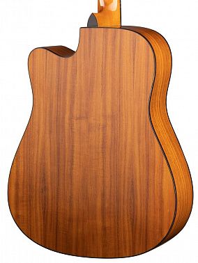 Акустическая гитара Ramis RA-G02C