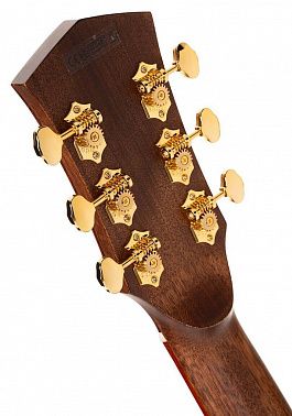 Электроакустика CORT Gold-A10-Cocobolo-WCASE-NAT